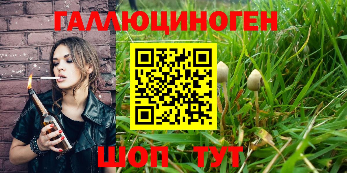 Химки  Галлюциногенные грибы Psilocybe  Вход с VPN 
